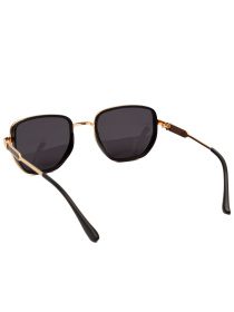 Солнцезащитные очки Famo модель E8216_06 Фото