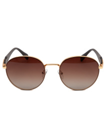 Сонцезахисні окуляри Famo модель E8214_06 Фото