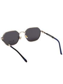 Солнцезащитные очки Famo модель Y52005P_06 Фото