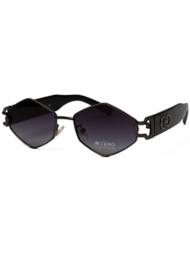 Сонцезахисні окуляри Famo модель E8226_01 Фото