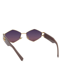 Очки Famo модель E8226_04 Фото