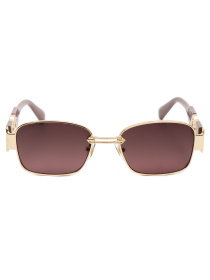 Окуляри Famo модель E8223_04 Фото