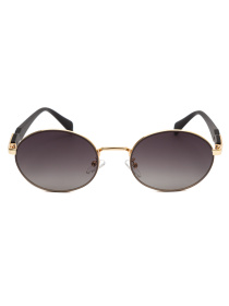 Солнцезащитные очки Famo модель E8215_09 Фото