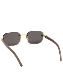 Окуляри Famo модель Y2689_03 Фото