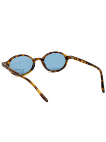 Очки Famo модель A19040P_01 Фото