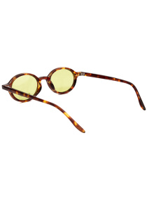 Окуляри Famo модель A19040P_02 Фото