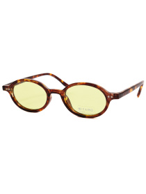 Окуляри Famo модель A19040P_02 Фото