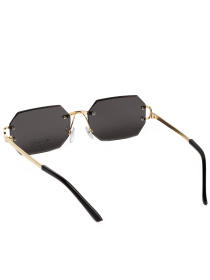 Солнцезащитные очки Famo модель Y2681_03 Фото