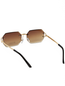 Сонцезахисні окуляри Famo модель Y2681_05 Фото