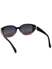 Солнцезащитные очки Famo модель E26036P_04 Фото