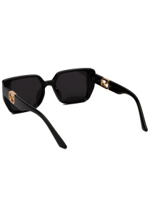 Солнцезащитные очки Famo модель E3555P_01 Фото