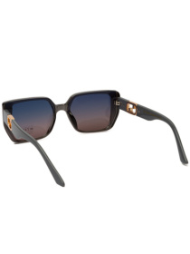 Сонцезахисні окуляри Famo модель E3555P_04 Фото