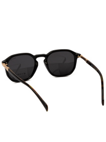 Сонцезахисні окуляри Famo модель O902P_02 Фото