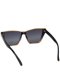 Окуляри Famo модель O26012P_01 Фото