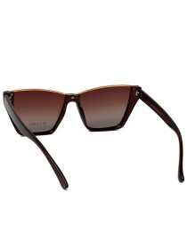 Очки Famo модель O26012P_06 Фото