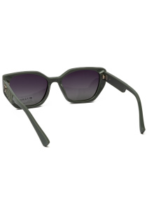 Сонцезахисні окуляри Famo модель E5141P_02 Фото