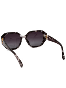 Сонцезахисні окуляри Famo модель O26037P_04 Фото