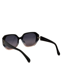 Солнцезащитные очки Famo модель O26037P_05 Фото