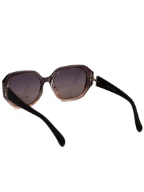 Сонцезахисні окуляри Famo модель O26037P_06 Фото