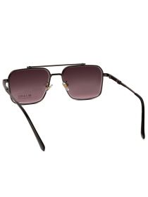 Окуляри Famo модель A19044_08 Фото