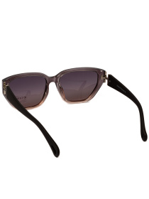 Солнцезащитные очки Famo модель O26022P_06 Фото