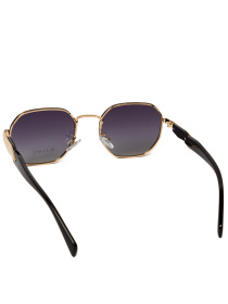 Солнцезащитные очки Famo модель E442P_02 Фото