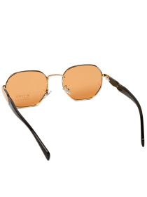 Солнцезащитные очки Famo модель E442P_04 Фото