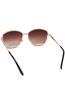 Очки Famo модель E5A009_03 Фото