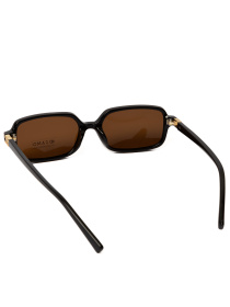 Сонцезахисні окуляри Famo модель E6001_06 Фото