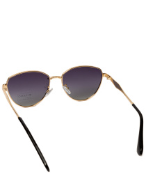 Солнцезащитные очки Famo модель E4053P_02 Фото