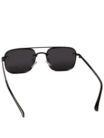 Сонцезахисні окуляри Famo модель A2349_01 Фото