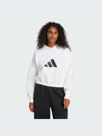 Худи и свитшоты Adidas модель JE0137-KZ Фото