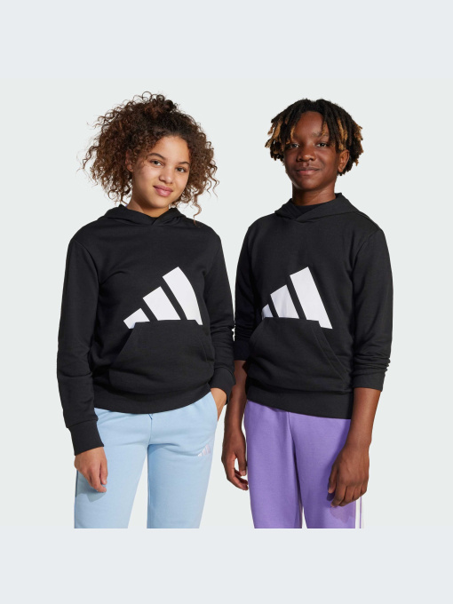 Худи и свитшоты Adidas модель JC9667-KZ Фото