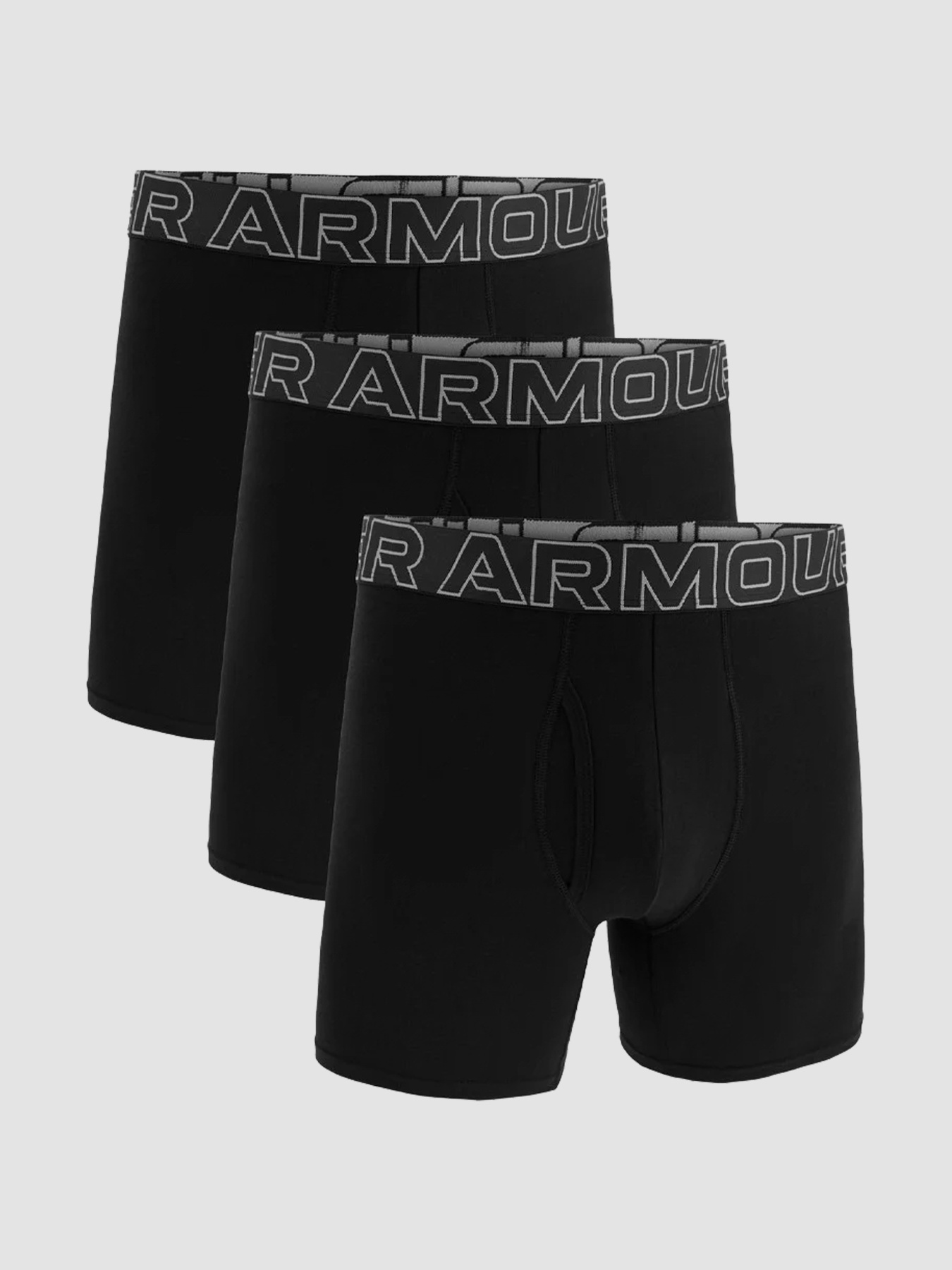 Набор трусов Under Armour Ua M Perf Cotton 6In модель 1383889-001 Фото