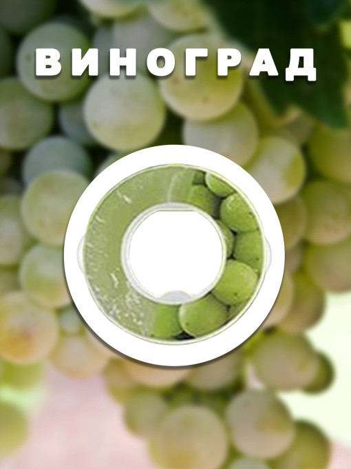 Пляшки Without Капсула Для Пляшки Виноград модель 800015 Фото