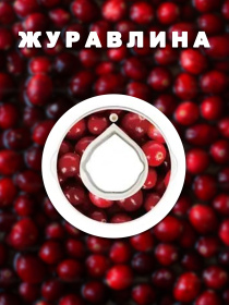 Пляшки Without Капсула Для Пляшки Журавлина модель 800017 Фото