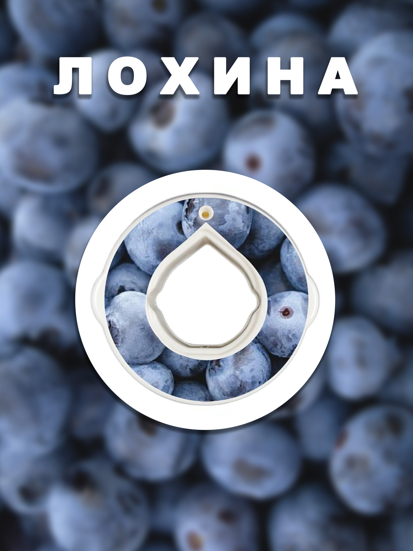 Пляшки Without Капсула Для Пляшки Лохина модель 800020 Фото