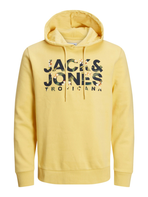 Худи и свитшоты JACK & JONES модель 12225417_Jojoba Фото