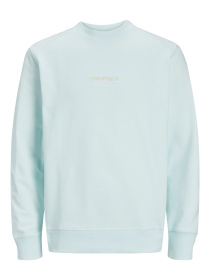 Худи и свитшоты JACK & JONES модель 12252410_Skylight Фото