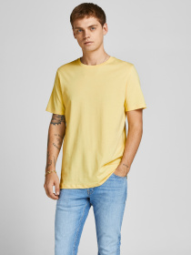 Футболкалар мен поло жейделер JACK & JONES үлгі 12156101_MellowYellow Фото