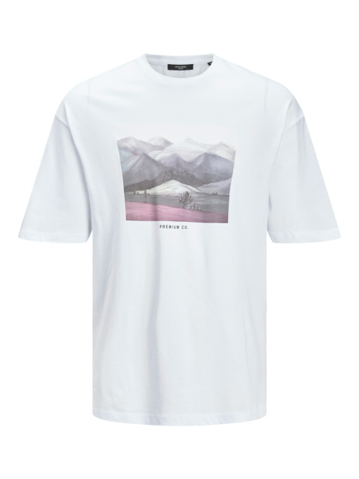 Футболкалар мен поло жейделер JACK & JONES үлгі 12207545_White Фото