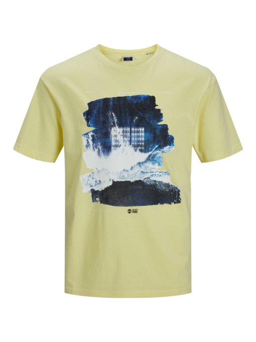 Футболкалар мен поло жейделер JACK & JONES үлгі 12210341_YellowIris Фото