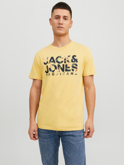 Футболки и поло JACK & JONES модель 12224688_Jojoba Фото