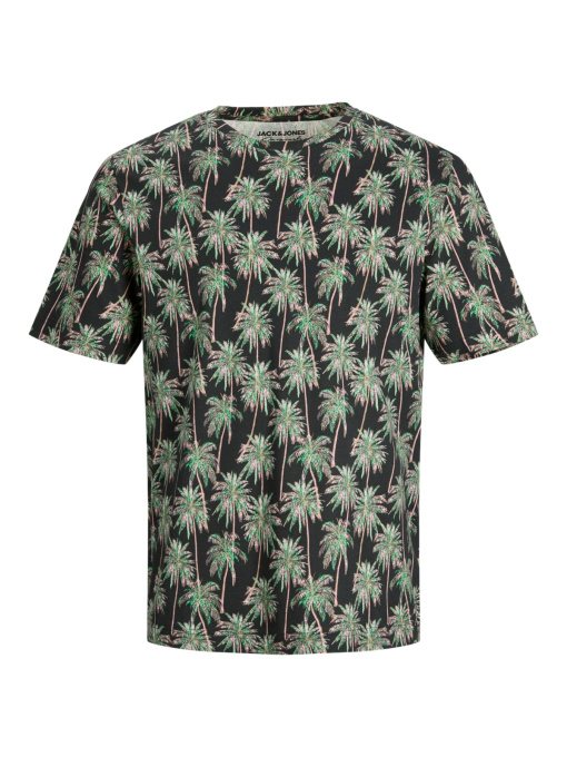 Футболкалар мен поло жейделер JACK & JONES үлгі 12234278_TAPSHOE Фото