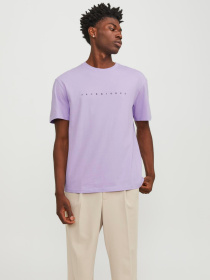 Футболкалар мен поло жейделер JACK & JONES үлгі 12234746_PurpleRose Фото