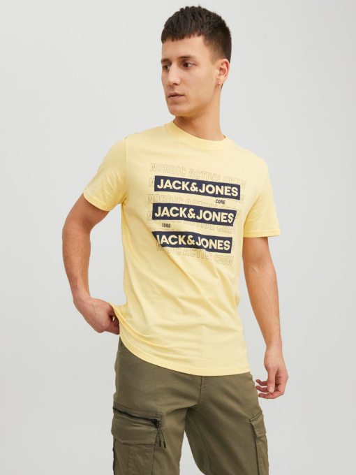 Футболкалар мен поло жейделер JACK & JONES үлгі 12235249_PaleBanana Фото