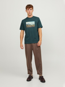 Футболкалар мен поло жейделер JACK & JONES үлгі 12246446_MagicalForest Фото