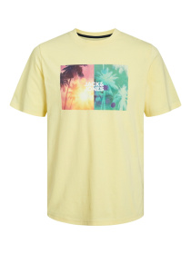 Футболкалар мен поло жейделер JACK & JONES үлгі 12247982_FrenchVanilla Фото
