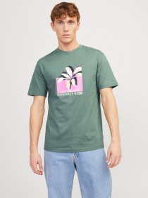 Футболкалар мен поло жейделер JACK & JONES үлгі 12252173_LaurelWreath Фото