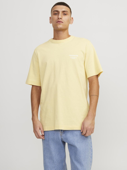 Футболкалар мен поло жейделер JACK & JONES үлгі 12252956_ItalianStraw Фото